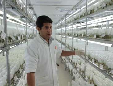 NASA laat aardappelteelt op Mars onderzoeken