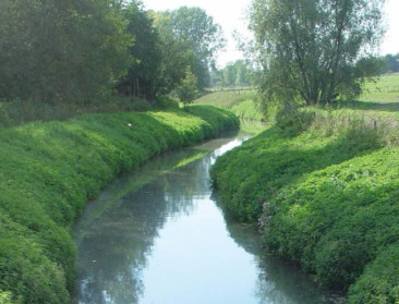 Van conflict naar consensus: Hoe een lokaal bestuur landbouw en natuur kan verzoenen