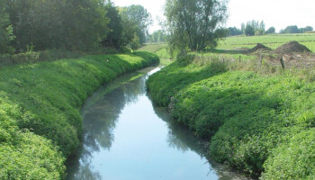 Van conflict naar consensus: Hoe een lokaal bestuur landbouw en natuur kan verzoenen