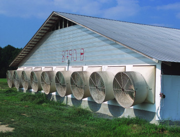 "Controle op importvlees lastiger dan op dierenwelzijn"