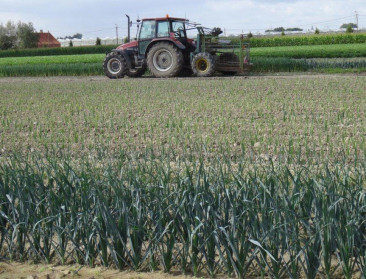 Omzet plantaardige sectoren daalt met 12 procent