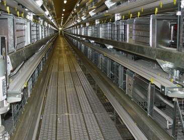 "Leghennenhouderij investeerde in 2012 in huisvesting"