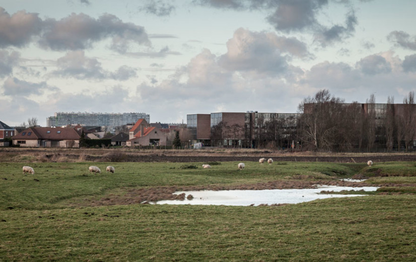 Boer ruimt veld: project zoekt sleutel voor ontharding