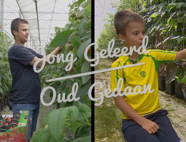 ? Jong Geleerd Oud Gedaan: Louis-Lysander