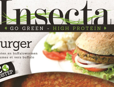 Waarom insectenburgers (nog) niet aanslaan