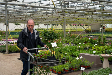 Gemaflor_bloemenwinkel voor particulieren
