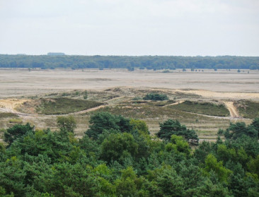 Redt Leopoldsburg de kandidatuur van Bosland als nationaal park?