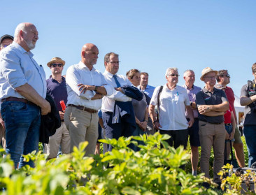 Sectorpartners ondertekenen convenant voor meer robuuste aardappelrassen in bioteelt