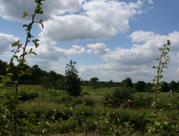 Belgisch en Nederlands Limburg slaan handen in elkaar