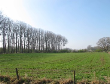 In oktober bekijkt rechter grondverkoop door OCMW Gent