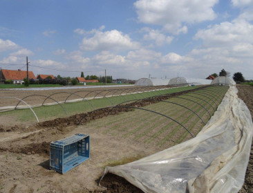 Plattelandsbeleid verkleinde milieudruk van landbouw