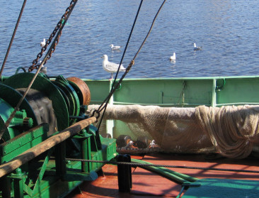 Europa verplicht camera’s op vissersboten tegen overbevissing