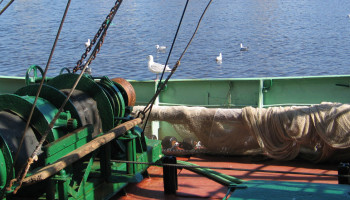 "Duurzaam akkoord met VK cruciaal voor onze visserij"