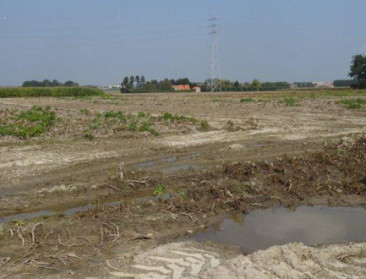 Brouns maakt einde aan kalenderlandbouw voor inzaai vanggewassen