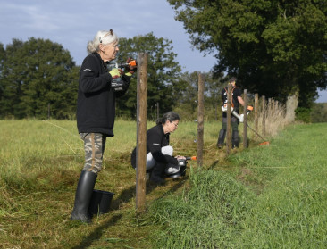 Wolf Fencing Team vraagt veehouders om hekken wolfwerend te maken: "tempo moet omhoog"