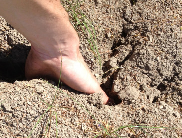 KMI: "Huidige droogte gevolg van blokkades"