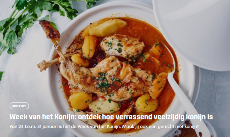 Week van het Konijn_VLAM