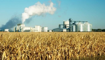 Biobrandstoffen stoten meer CO2 uit dan de fossiele brandstoffen die ze vervangen