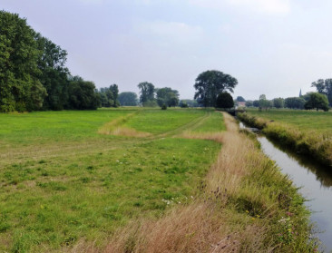 Blauwalgen zijn bij de eerste neerslag niet verdwenen
