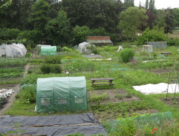 Vlaanderen investeert half miljoen in 29 nieuwe volkstuinprojecten: “Ze brengen verbinding en ontmoeting”