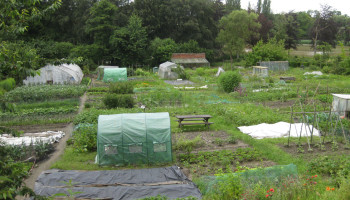 Vlaanderen investeert half miljoen in 29 nieuwe volkstuinprojecten: “Ze brengen verbinding en ontmoeting”