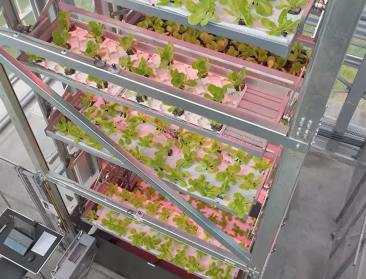 ? VIDEO: Inagro demonstreert teeltinstallatie verticale landbouw