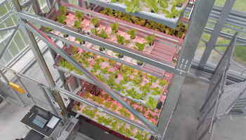 ? VIDEO: Inagro demonstreert teeltinstallatie verticale landbouw
