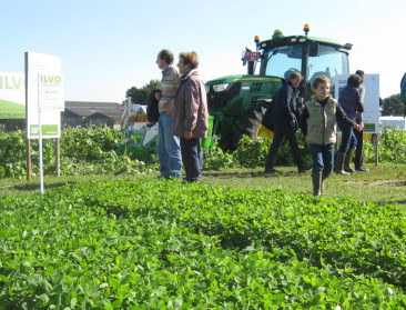Netwerken helpt bij het waarmaken van creatieve ideeën