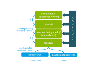 Extra controlekosten in toelevering van eendagskuikens