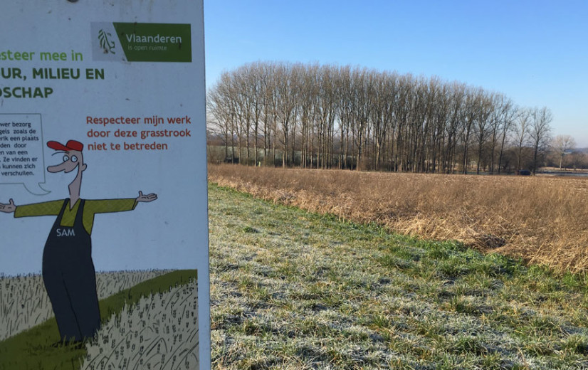 Bootcamp BOERenNATUUR (deel 2)