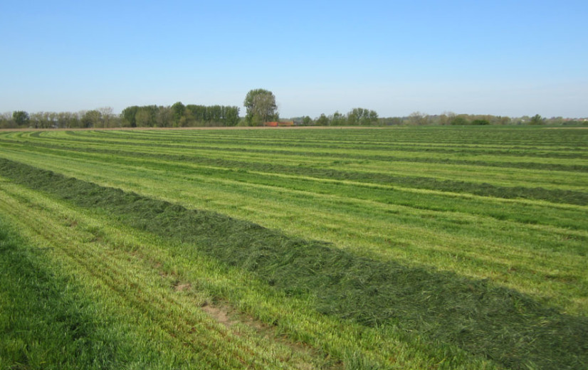 Vlaamse landbouwers zijn fan van GLB-ecoregelingen