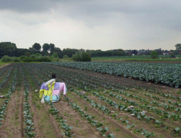 "Fabeltje dat biobedrijven overgesubsidieerd zijn"