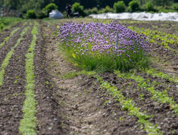 Farming for Climate wil 1.000 Belgische boerderijen op pad van agro-ecologische landbouw zetten