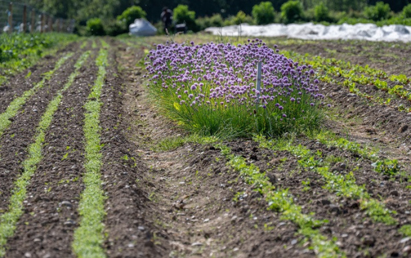 Farming for Climate wil 1.000 Belgische boerderijen op pad van agro-ecologische landbouw zetten