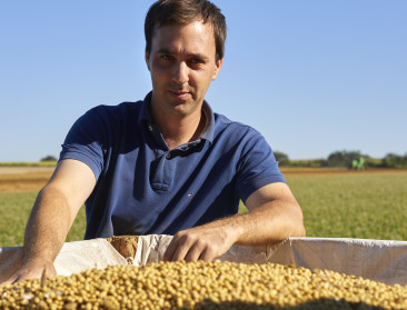 Colruyt zet samenwerking op rond Belgische biosoja