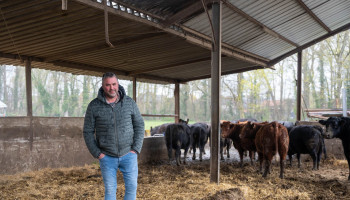 Limburgse melkveehouder buigt natuurdruk om in zijn voordeel