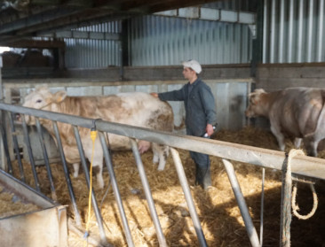 Boer blijft geprangd zitten tussen hamer en aambeeld