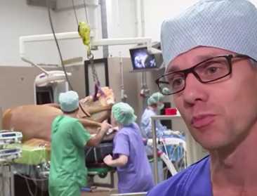 Mondiale erkenning voor faculteit Diergeneeskunde UGent