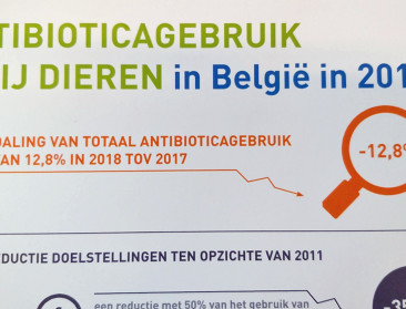Recorddaling van antibioticagebruik bij dieren