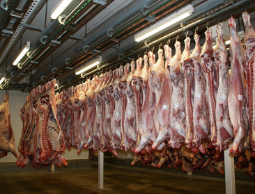 Hogere vergoeding voor dierenartsen die controles uitvoeren voor FAVV