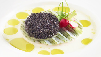 Royal Belgian Caviar mag nieuwe kaviaarkwekerij bouwen in Kinrooi