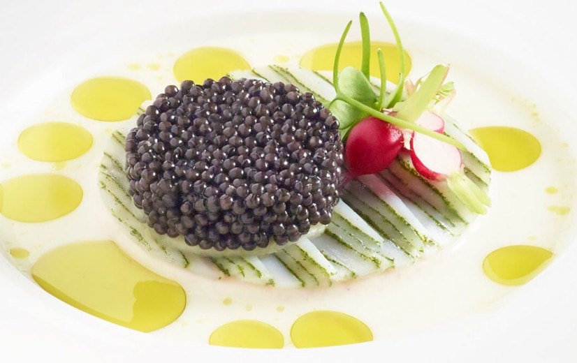 Royal Belgian Caviar mag nieuwe kaviaarkwekerij bouwen in Kinrooi
