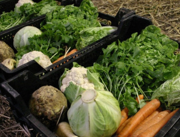 Gent wil retail en horeca betrekken bij korte keten