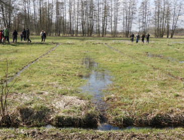 Vloeiweiden zijn landbouwgeschiedenis én natuurpracht