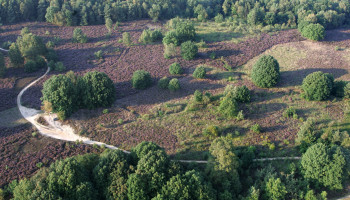 Demir: “Vlaamse parken zijn geen bedreiging, maar net grote kans voor economie en landbouw”