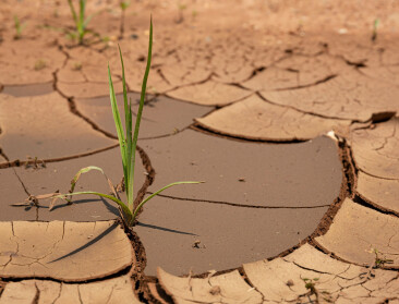 ECB waarschuwt: Droogte bedreigt tot 15 procent van productie in eurozone