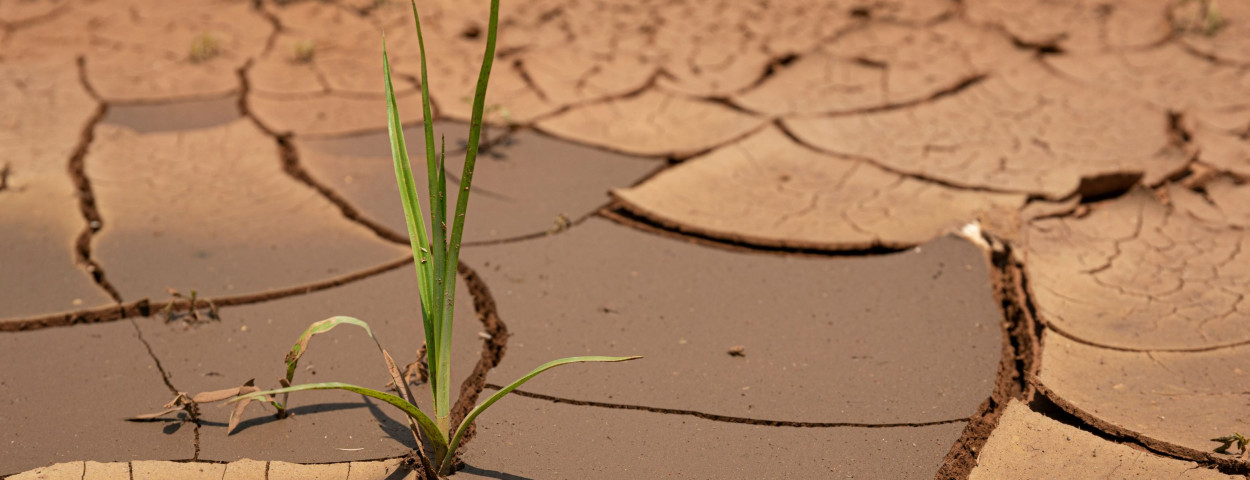 droogte-unsplash
