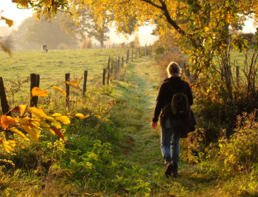 Dag van de Trage Weg lokt bijna 30.000 bezoekers