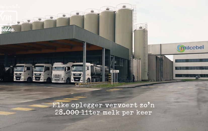 Schakels - Van melk naar mozzarella