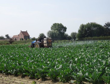 "Gezondheidsrisico pesticiden voor boeren onzeker"